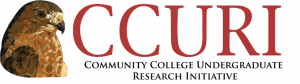 Community College Undergraduate Research Initiative