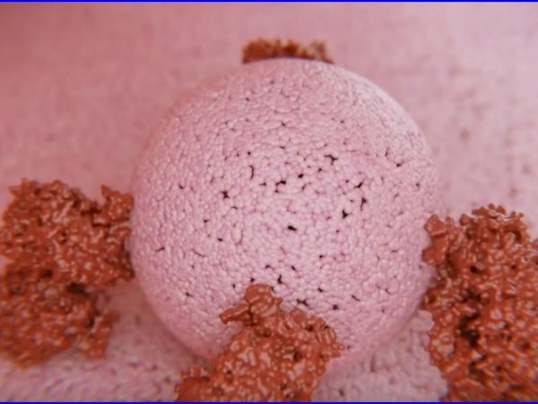 NanoBio mAB student project to explore how nanotechnology could combat cancer cells. Pasadena City College