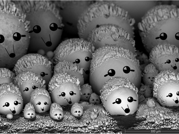 Hedgehog Crew Nano NNCI Photo Contest 2021