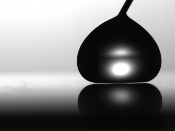 Leidenfrost Effect _Emory University, Burton Lab