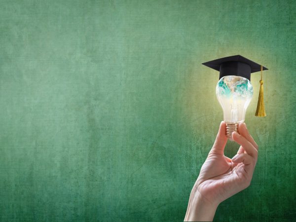 Innovative learning, creative educational study concept for graduation and school student success with world lightbulb on teacher chalkboard