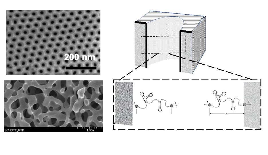 Synthetic DNA and RNA on Nanostructured Ceramic Films _NACK Webinar 2022